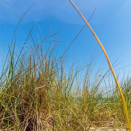 Strandurlaub Ruegen 
